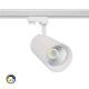 Product of 3-Circuit LED Spotlight 40W d'Angelo CCT White LIFUD