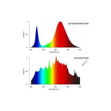 Prodotto da Barra LED 600W per la Coltivazione Lineare HP Grow Regolabile