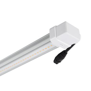 Product of LED Batten Grow Tube 60cm 10W T8