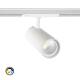 Product of 40W New d'Angelo CRI09 PHILIPS Xitanium CCT LED Spotlight for Three Phase Track in White