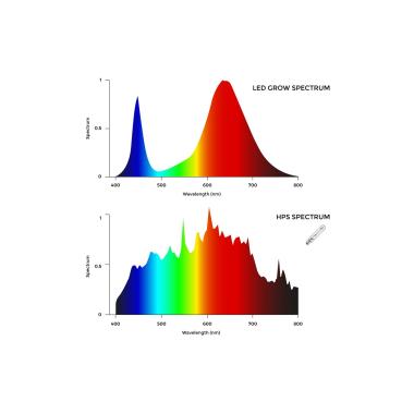 Produkt von LED-Wachstumslicht 300W Linear HP Grow Dimmbar 1-10V