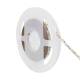 Product of 5m 12V DC LED Strip 60LED/m 10mm Wide Cut at Every 5cm IP20