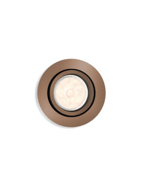 Product of Round PHILIPS Donegal Downlight 70x70 mm Cut-Out 