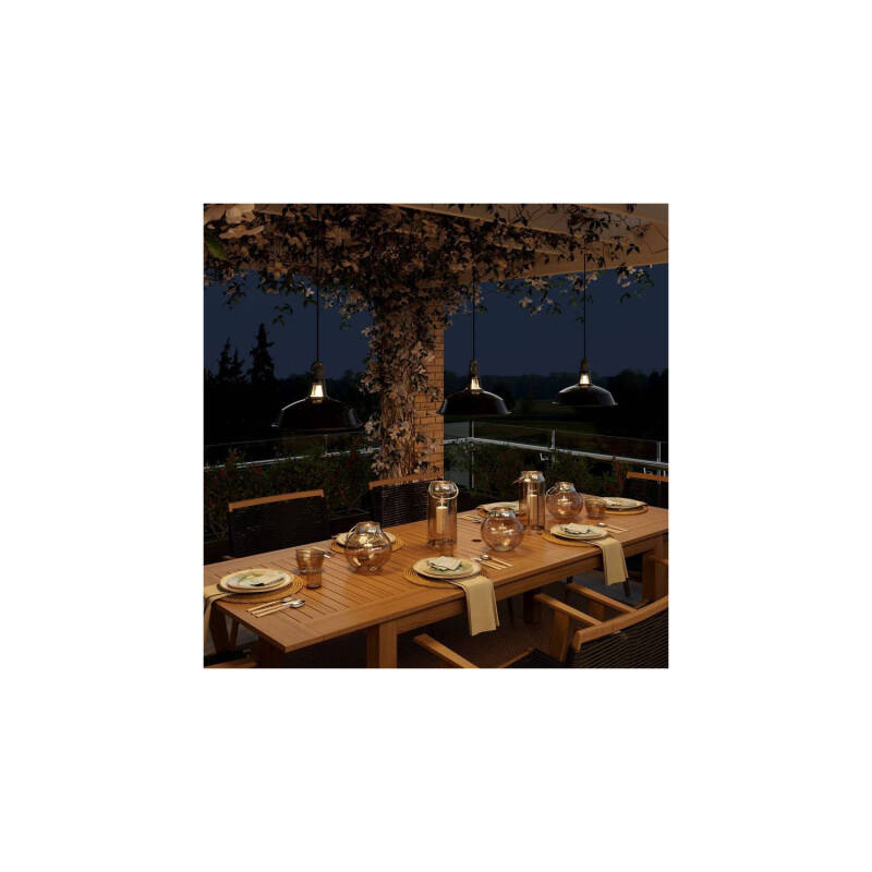 Product of Eiva Elegant Outdoor Pendant Lamp with Aluminium Lampshade IP65 Creative-Cables PDENE50SM01PAM11VBL