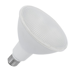 LED Lamp E27 15W 1350 lm PAR38 IP65