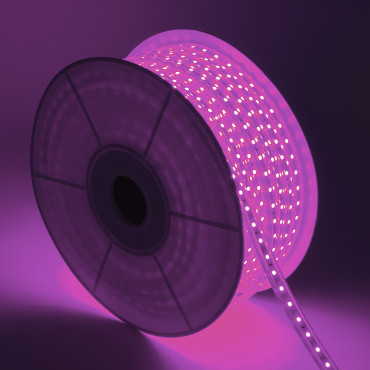 Product LED strip Violet Dimbaar 220V AC SMD5050 60 LED/m 50m In te korten om de 100cm