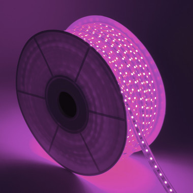 Bobine LED Dimmable 220V AC 60LED/m Violet 50m IP65 Largeur 14mm Coupe tous les 100cm