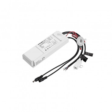 Product Emergency Driver with Battery  for LED Panels with Output 3W 10-50V DC 
