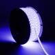 Product van LED Strip Rol RGB 220V AC SMD5050 Siliconen FLEX 50m 60 LED/m IP67 Breedte 12mm In te korten om de 100 cm