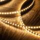 Product van LED Strip 24V DC SMD2835 120LED/m 5m IP20 Breedte 8mm Snede 5cm