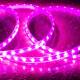 Product van LED Strip 220V SMD2835 60LED/m Roze IP65 Breedte 12mm te knippen om de 100cm