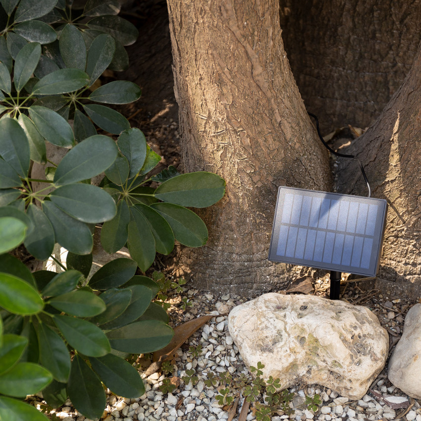 Guirnalda de Bombillas LED Solar Kuiper 7m