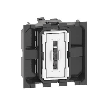 BTicino Living Now K4001M2A 10 AX 250V AC 2 Module Switch Mechanism - 10 A