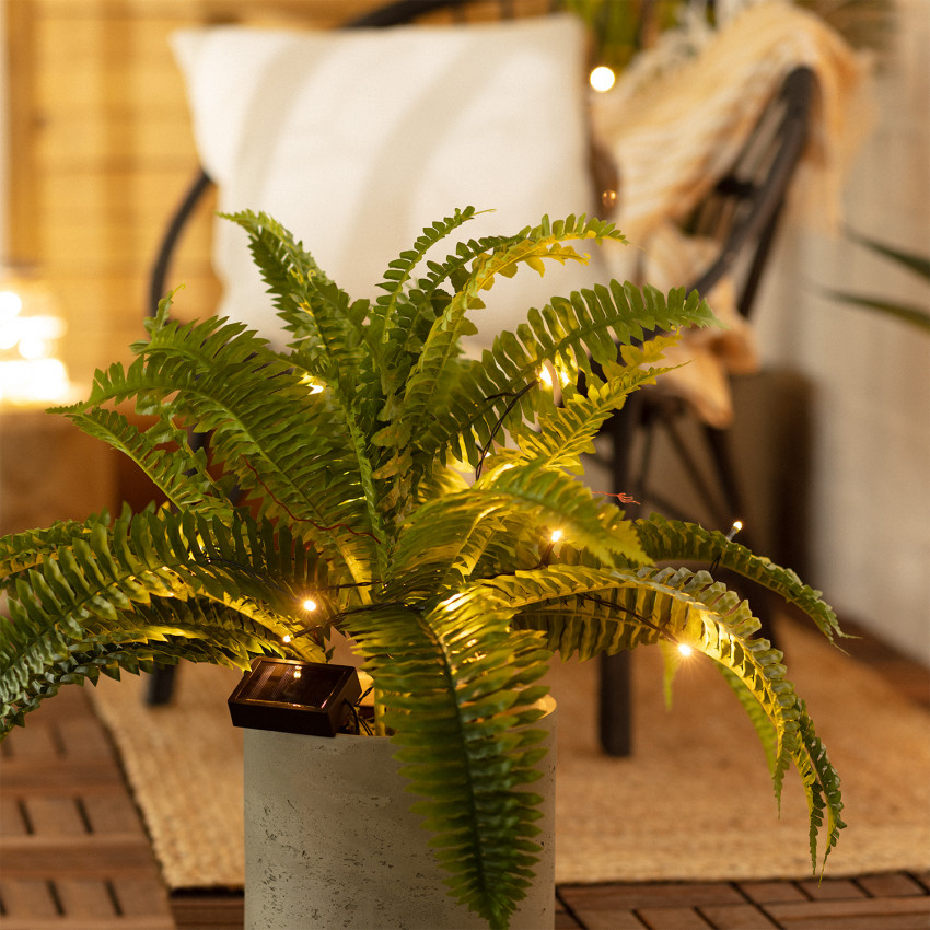 Lasan LED string Light 