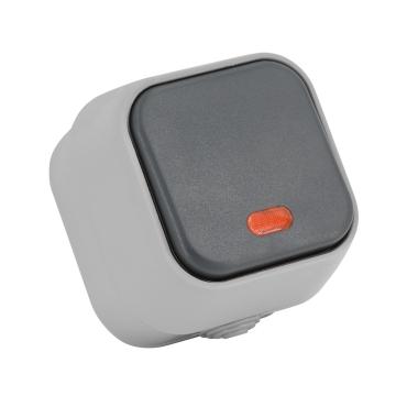 Simple Switch with IP54 Luminous Indicator - Grey
