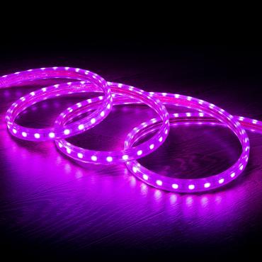 Purple LED Strip 220V AC 60 LED/m IP65 - 15 m