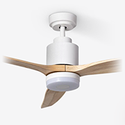 Ceiling Fans