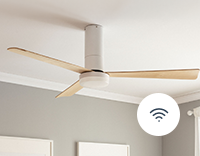 Ventilateurs de Plafond avec WiFi