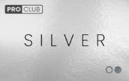 Karta klubu Silver