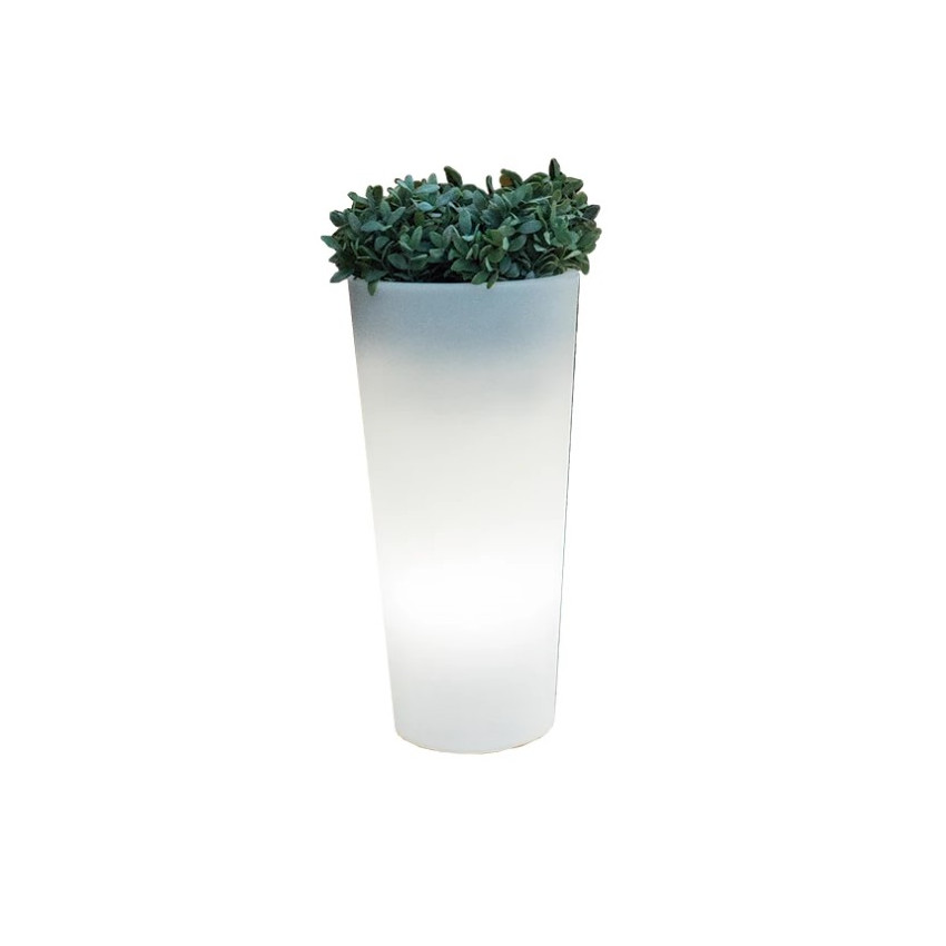 Vaso Ficus 60 Cavo Esterno Freddo